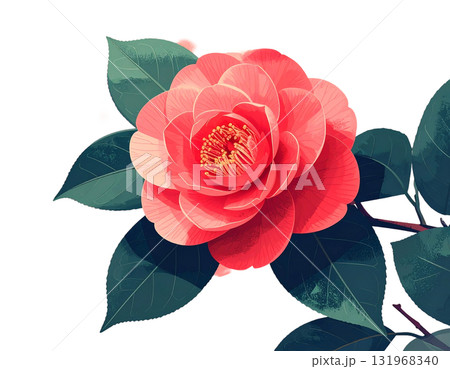 椿の花のイラスト 椿の花のイラスト 131968340