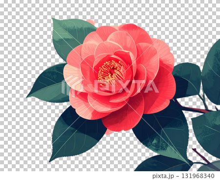 椿の花のイラスト 椿の花のイラスト 131968340