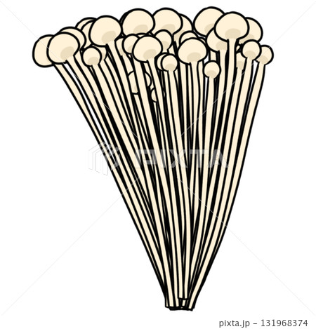 エノキタケ 菌類　シンプル 131968374