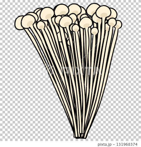 エノキタケ 菌類　シンプル 131968374