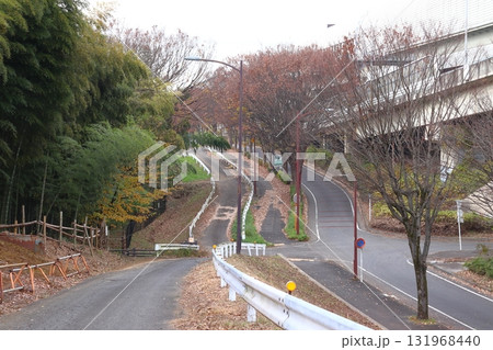 秋の赤山城址の北側と外環道（埼玉県川口市） 131968440