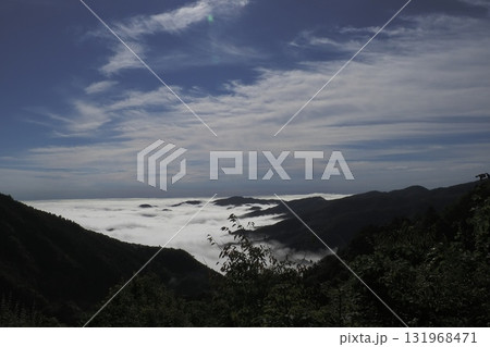 三頭山中腹より、雲海に浮かぶ生藤山と笹尾根を望む 131968471