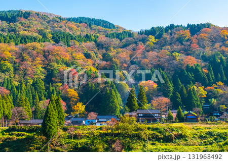 秋の田舎風景 秋の田舎風景 131968492