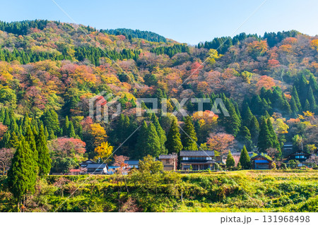 秋の田舎風景 131968498