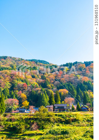 秋の田舎風景 秋の田舎風景 131968510