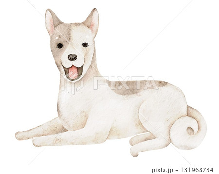 Hand painted watercolor husky dog in neutral tones with soft fur texture. Perfect for fabric printing, cards, posters, and pet inspired projects with cozy design Hand painted watercolor husky dog in neutral tones with soft fur texture. Perfect for fabric printing, cards, posters, and pet inspired projects with cozy design 131968734