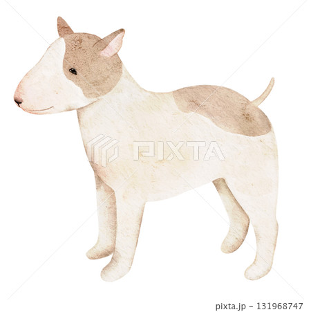 Hand painted watercolor Bull Terrier in gentle beige tones. Ideal for pet prints, cards, textile designs, and creative projects for dog lovers and handmade art collections. Hand painted watercolor Bull Terrier in gentle beige tones. Ideal for pet prints, cards, textile designs, and creative projects for dog lovers and handmade art collections. 131968747