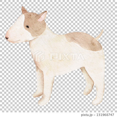Hand painted watercolor Bull Terrier in gentle beige tones. Ideal for pet prints, cards, textile designs, and creative projects for dog lovers and handmade art collections. Hand painted watercolor Bull Terrier in gentle beige tones. Ideal for pet prints, cards, textile designs, and creative projects for dog lovers and handmade art collections. 131968747