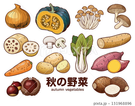 秋の野菜 秋の野菜 131968896