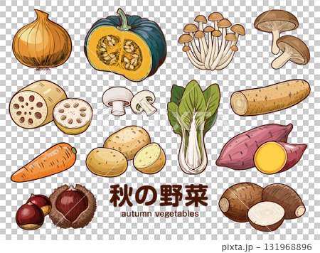 秋の野菜 秋の野菜 131968896