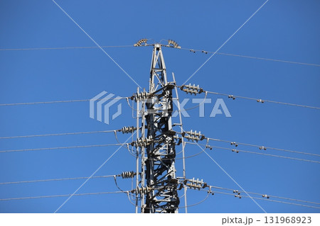 鉄塔の端に置かれたカラスの巣材の枝 131968923