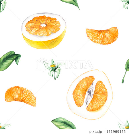 Pomelo citrus fruit seamless pattern on a white background, hand-drawn 131969153