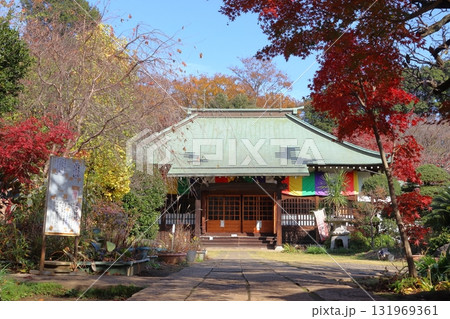 秋の興禅院にて(埼玉県川口市) 秋の興禅院にて(埼玉県川口市) 131969361