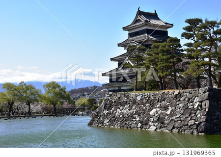 長野県松本市 松本城大天守と乾小天守と月見櫓と辰見附櫓と内堀 長野県松本市 松本城大天守と乾小天守と月見櫓と辰見附櫓と内堀 131969365