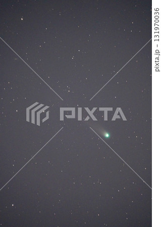 レモン彗星 131970036