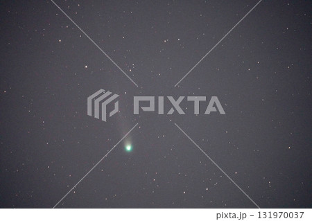 レモン彗星 131970037