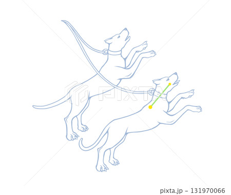 りょうけん座のカラー線画イラスト りょうけん座のカラー線画イラスト 131970066