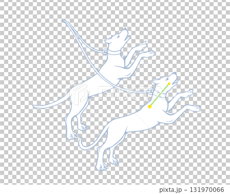 りょうけん座のカラー線画イラスト りょうけん座のカラー線画イラスト 131970066