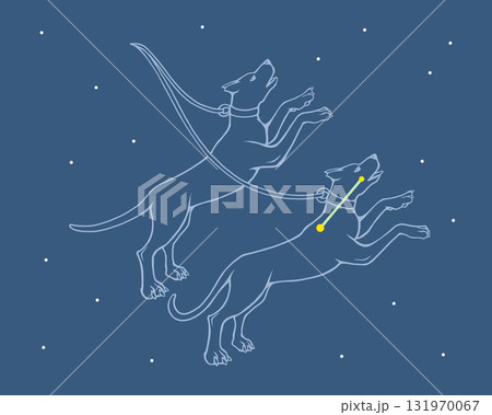 夜空に浮かぶりょうけん座のイラスト 131970067