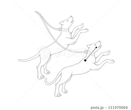 りょうけん座のモノクロ線画イラスト りょうけん座のモノクロ線画イラスト 131970068