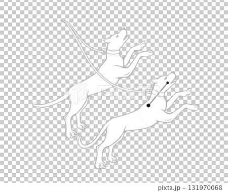 獵犬座單色線條畫 131970068