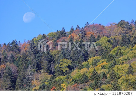 北海道の秋 針広混交林の紅葉と月 壁紙や背景におすすめ 北海道の秋 針広混交林の紅葉と月 壁紙や背景におすすめ 131970297