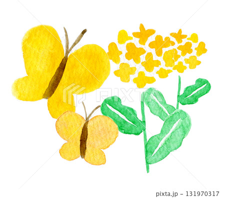 シンプルな水彩イラスト　菜の花と黄色い蝶 131970317