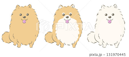 おすわりポメラニアンのセット（茶・茶白・白） 131970445