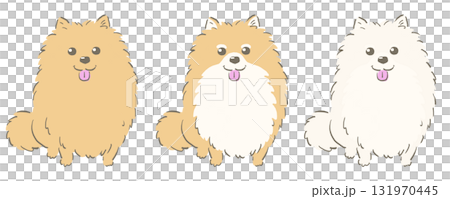 おすわりポメラニアンのセット（茶・茶白・白） 131970445