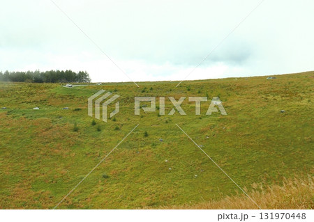 ビーナスラインのS字カーブ（霧ヶ峰 富士見台付近） 131970448