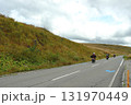 ビーナスラインの一本道のライダー（霧ヶ峰 富士見台付近） 131970449