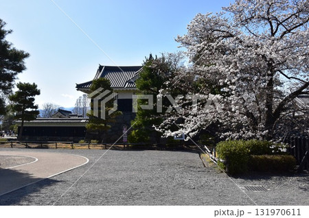 長野県松本市 松本城散策路と満開桜 長野県松本市 松本城散策路と満開桜 131970611