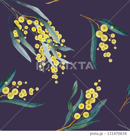 Golden wattle flowers on dark background seamless pattern. Australian native flora hand drawn vintage style watercolor illustration. Yellow acacia branches with flowers seamless pattern element 131970638