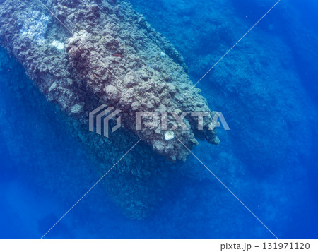 ドロップオフのキンギョハナダイ、キホシスズメダイ、ソラスズメダイ他の群れ 賀茂郡南伊豆町中木ヒリゾ浜 131971120