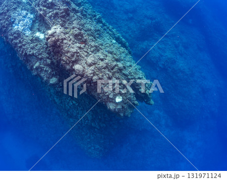 ドロップオフのキンギョハナダイ、キホシスズメダイ、ソラスズメダイ他の群れ 賀茂郡南伊豆町中木ヒリゾ浜 131971124