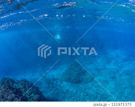 水深20mの水底に置かれている魚礁群。 アワビやサザエなどの貝類のものである。  ヒリゾ浜中木南伊豆 131971373