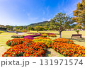 青空と花々 131971574