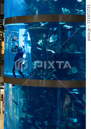 January 7, 2025, Moscow, Russia. A diver swims among vibrant fish in the giant aquarium at Aviapark mall, Moscow. A captivating marine display in the heart of the city. 131971721