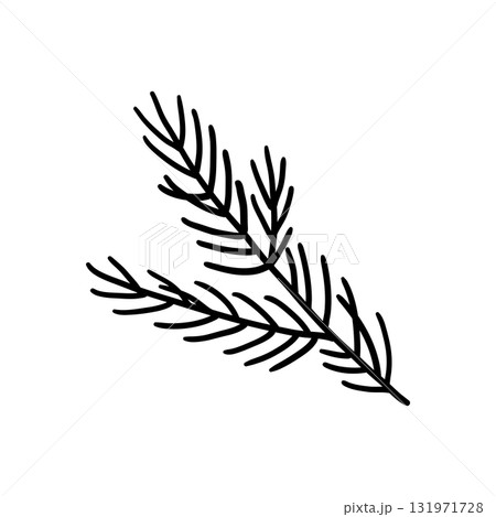 Spruce branch with thin needles. Hand drawn illustration in line style. Spruce branch with thin needles. Hand drawn illustration in line style. 131971728