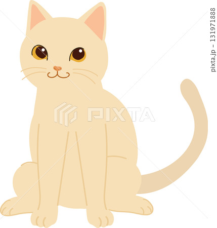 cute sitting kitten white cat for pet lovers animal icons and minimalist flat art collections 131971888