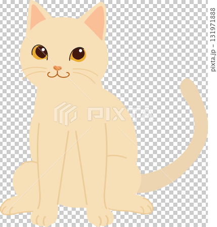 cute sitting kitten white cat for pet lovers animal icons and minimalist flat art collections 131971888
