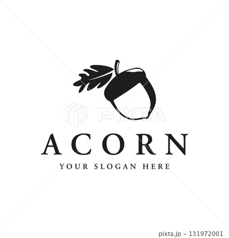 Acorn logo template design with branching vintage oak leaves.Logo for forest, business, vector. Acorn logo template design with branching vintage oak leaves.Logo for forest, business, vector. 131972001