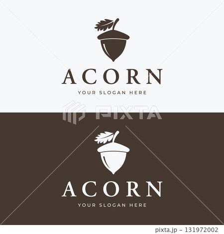 Acorn logo template design with branching vintage oak leaves.Logo for forest, business, vector. Acorn logo template design with branching vintage oak leaves.Logo for forest, business, vector. 131972002