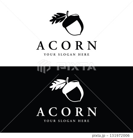 Acorn logo template design with branching vintage oak leaves.Logo for forest, business, vector. Acorn logo template design with branching vintage oak leaves.Logo for forest, business, vector. 131972006