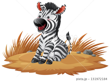 Smiling Baby Zebra Sitting on Dry Grass Patch 131972184