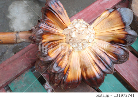 Nypa fruticans, nipa palm or mangrove palm fruit 131972741