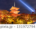 ライトアップされた三重塔 131972794