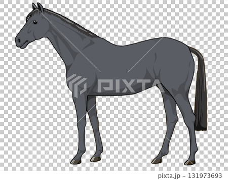 黑馬(純種馬) 黑馬(純種馬) 131973693