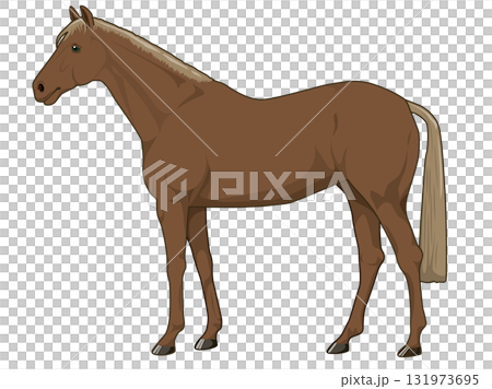 栗色馬(純種馬) 栗色馬(純種馬) 131973695
