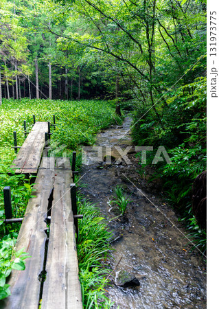静岡県周智郡森町鍛治島　山里の風景 131973775